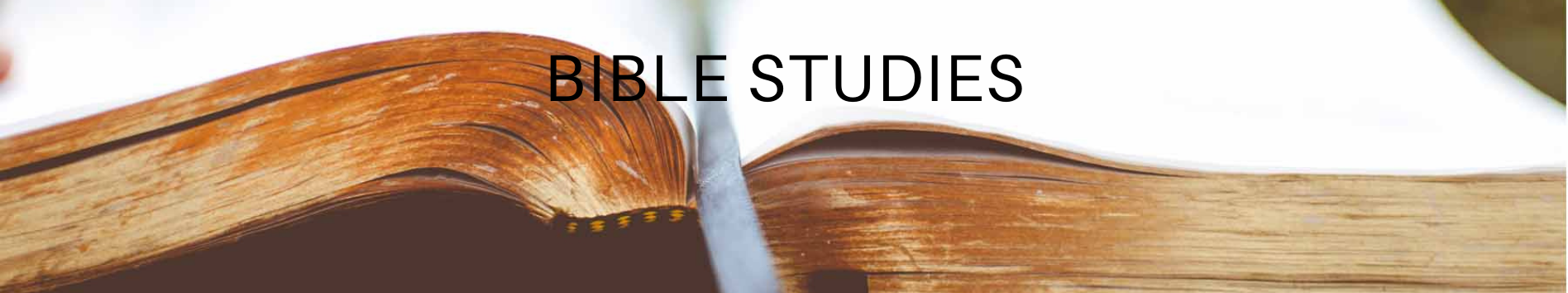 BIBLE STUDIES